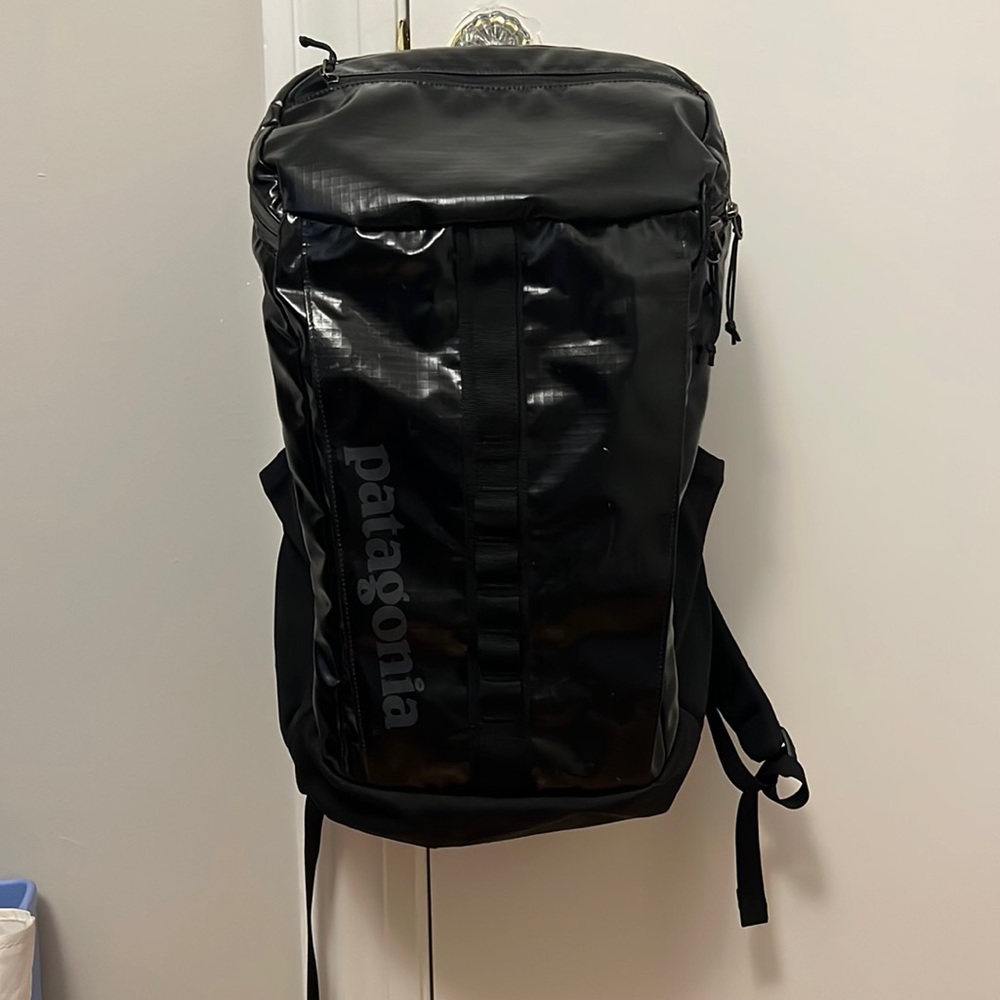 Patagonia Black Hole 25L Backpack